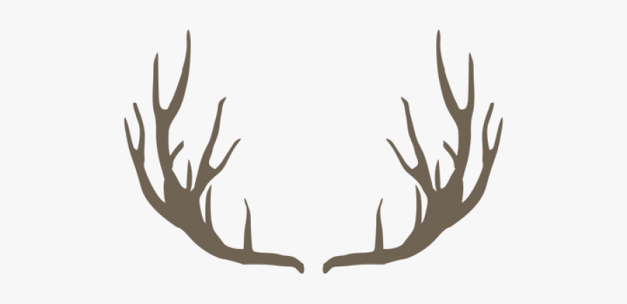 Stag Clipart Transparent Background - Chiang Mai Zoo, Transparent Clipart