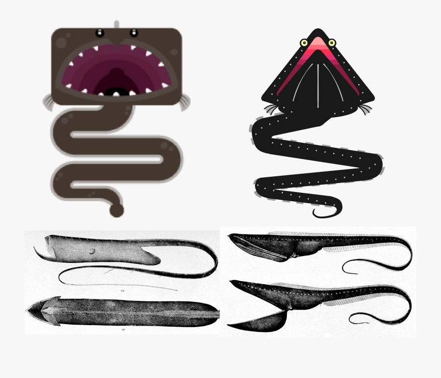 Saccopharyngiformes, Transparent Clipart