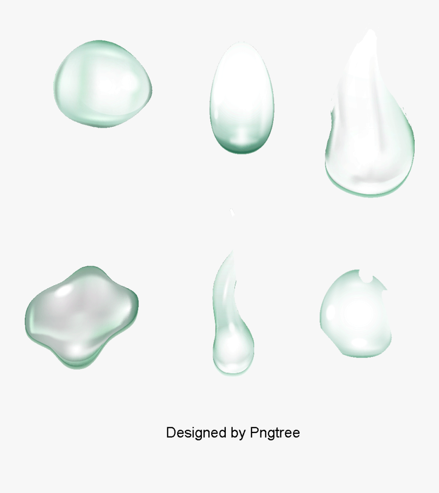 Still Life Photography, Transparent Clipart