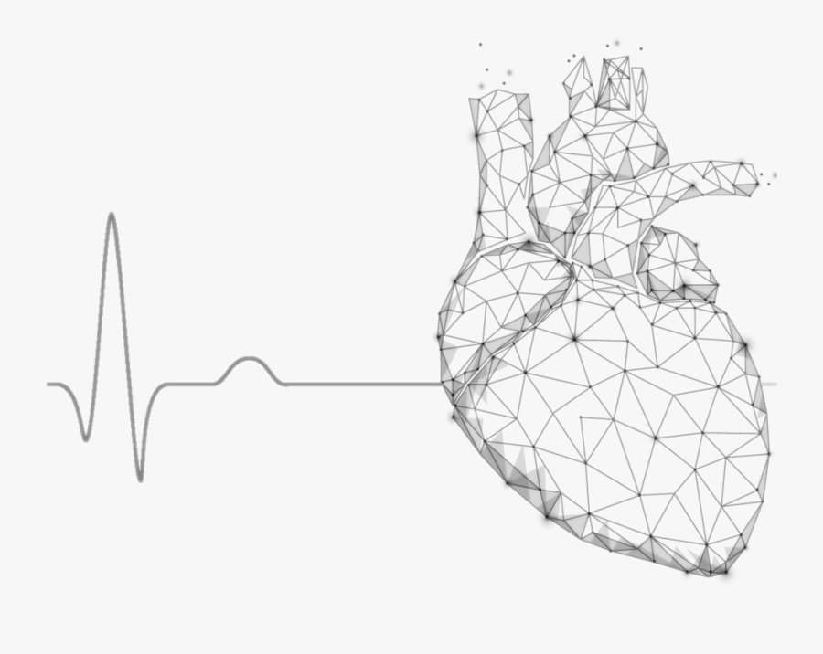 24 Hour Ecg Monitoring - Man Silhouette Healthy Heart Beats 3d Medicine Model, Transparent Clipart
