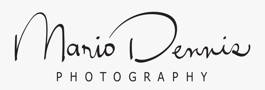 Mario Dennis - Calligraphy, Transparent Clipart