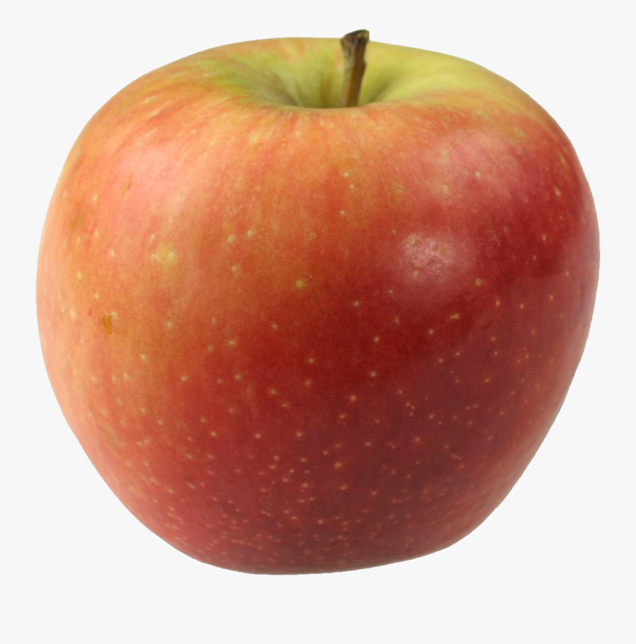 Multi Colored Apple Fruit, Transparent Clipart