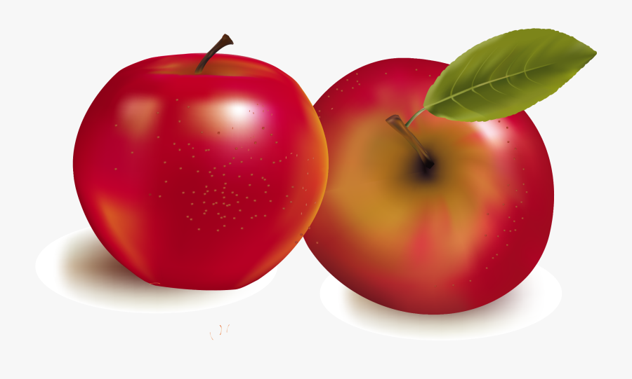 Fruit Royalty Free Stock Photography Illustration - Fruits Vector, Transparent Clipart
