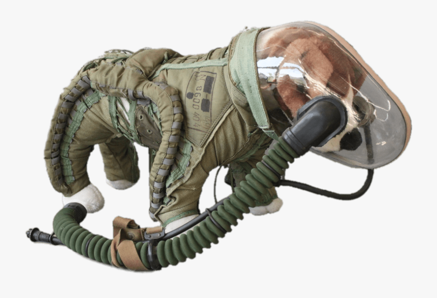Space Suit For Dogs - Soviet Dog Spacesuit, Transparent Clipart