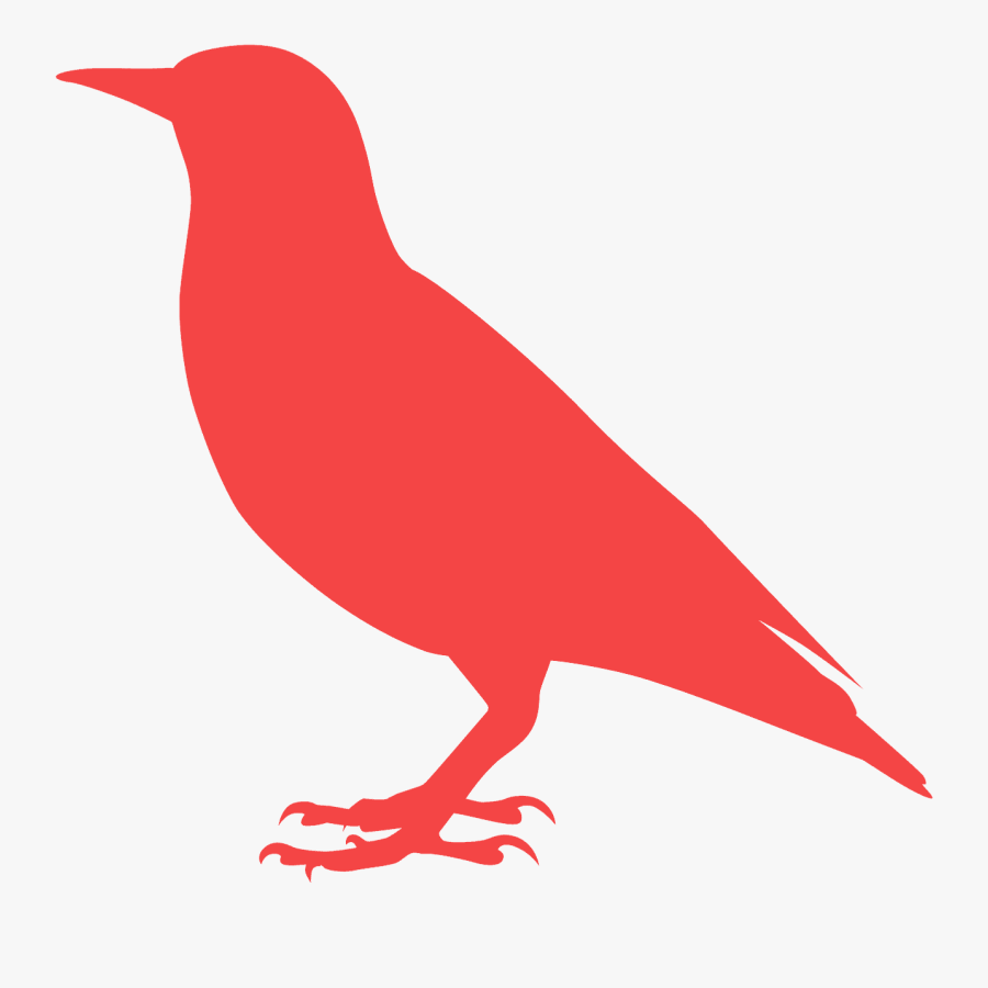 Starling Silhouette, Transparent Clipart