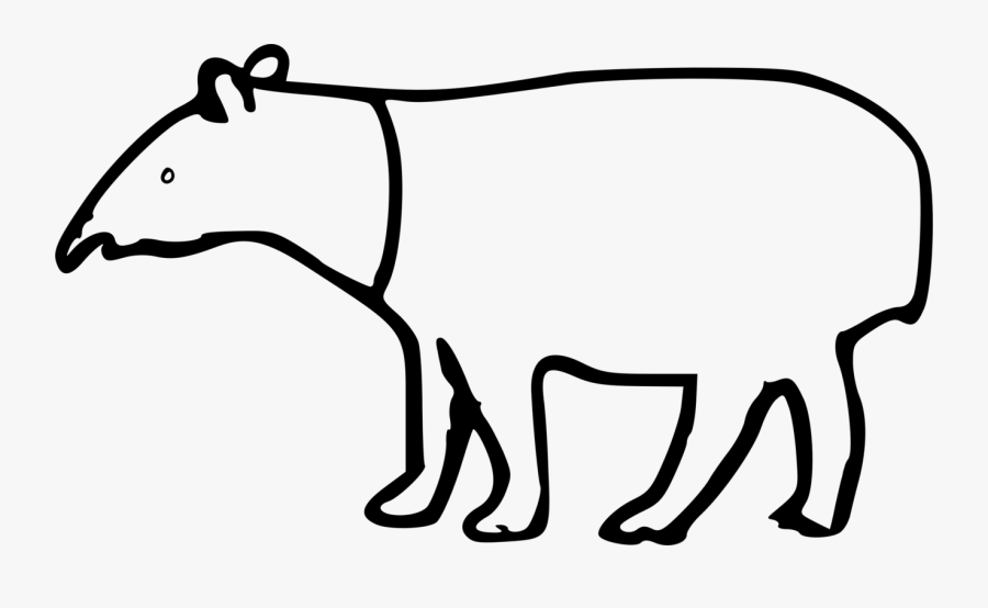 Malayan Tapir - Tapir Clip Art, Transparent Clipart