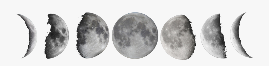 Moon Png Free Download Moon Phases White Background Free Transparent Clipart Clipartkey