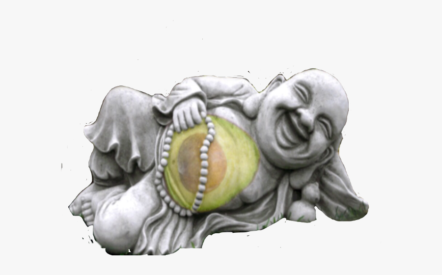 Scavocado Avocado Buddha Belly - Illustration, Transparent Clipart