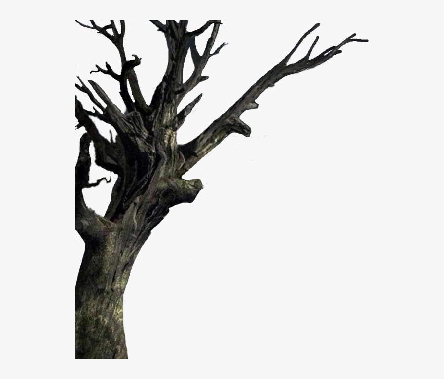 Isolated The Tree - Haunted House Tree, Transparent Clipart