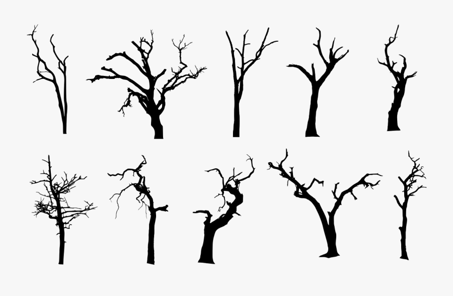 Spooky Tree Png Photos - Simple Creepy Tree Silhouette, Transparent Clipart