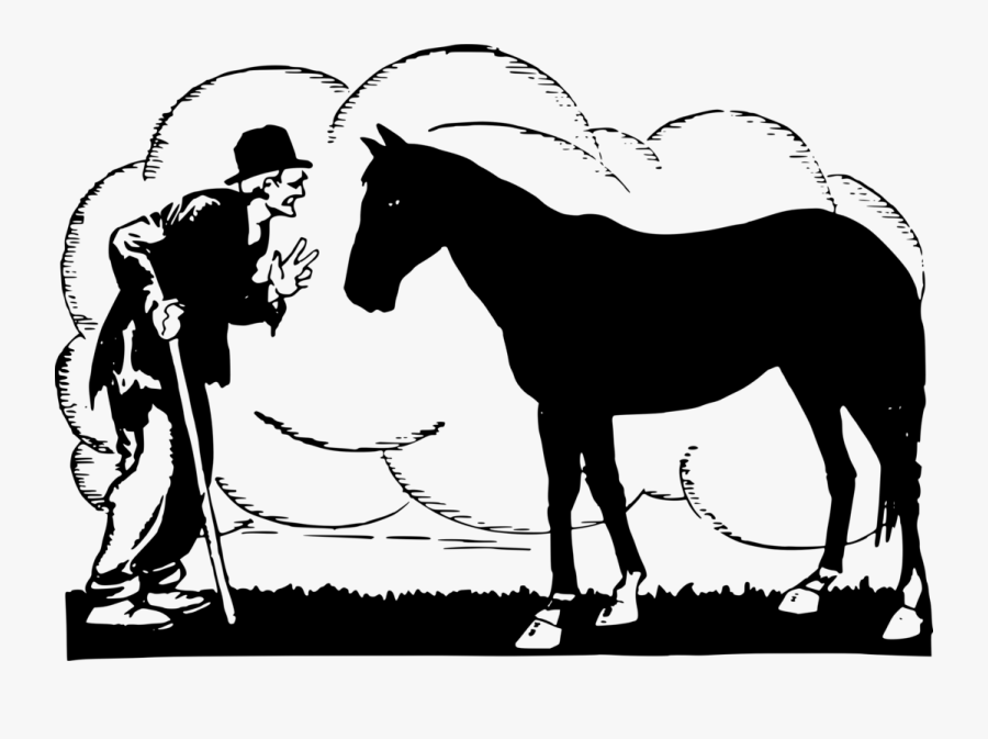 Pony,livestock,horse Tack - Mane, Transparent Clipart