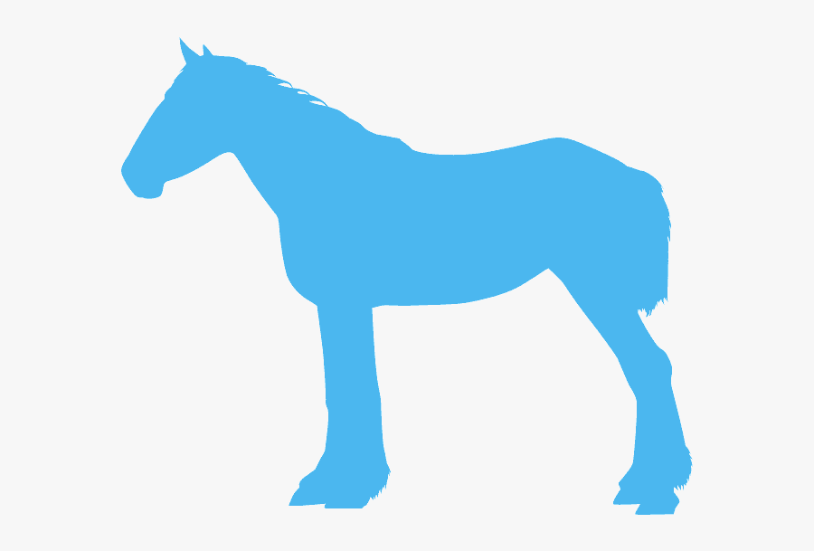 Mane, Transparent Clipart