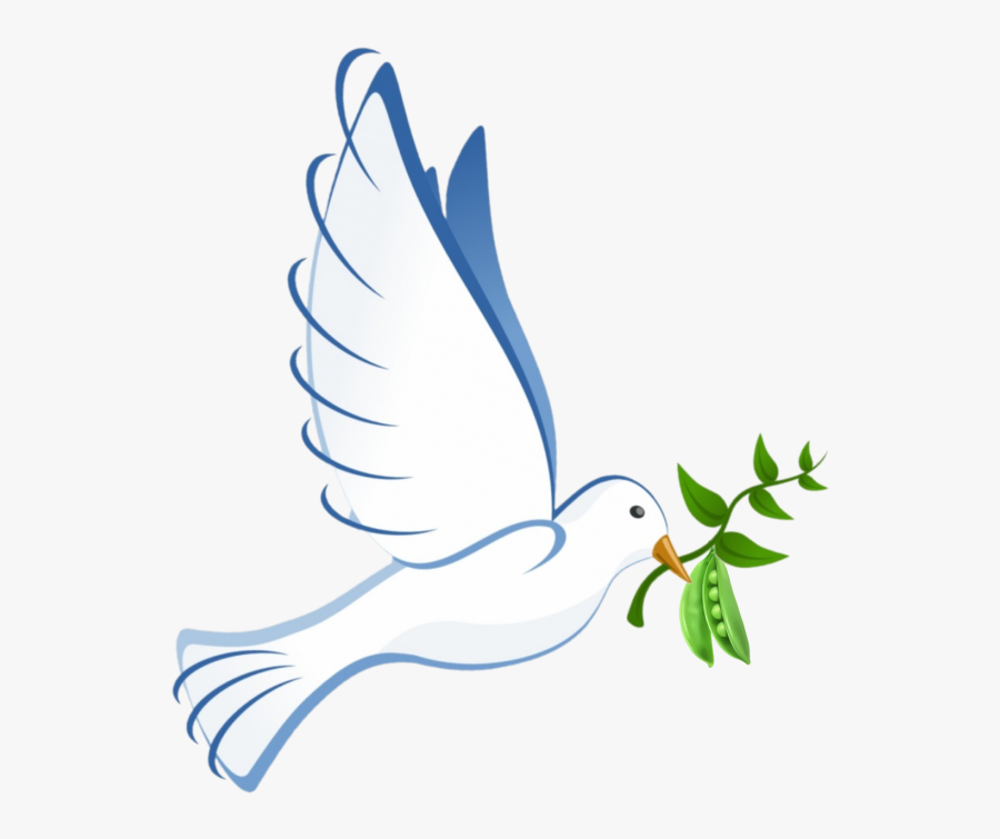 Seabird, Transparent Clipart