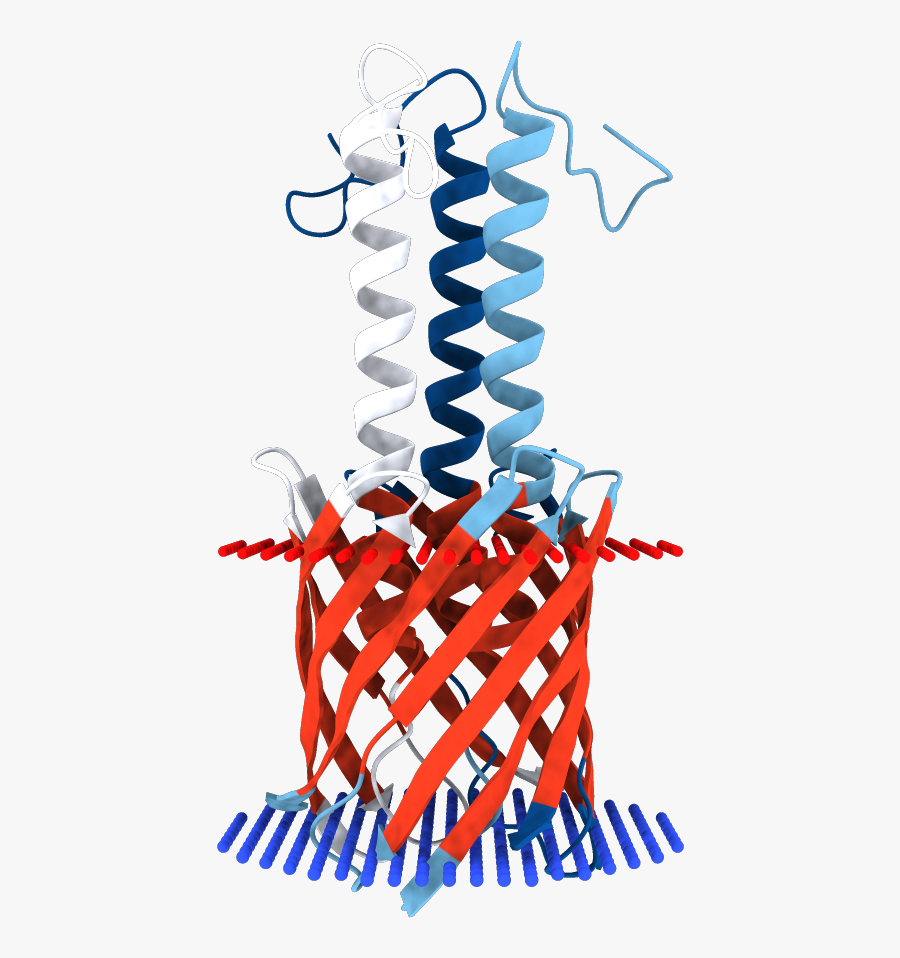 Clip Art, Transparent Clipart