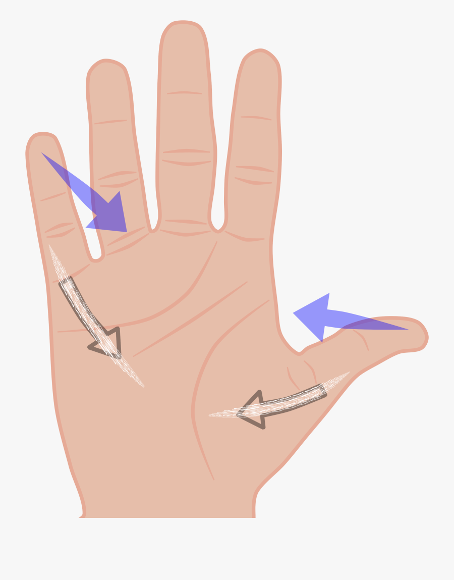 Fingers Clipart - Span Hand, Transparent Clipart