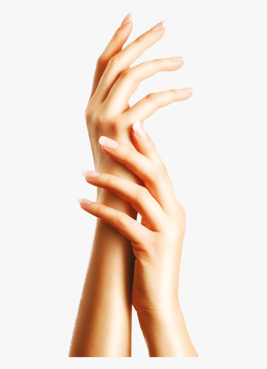 Natural Hand, Transparent Clipart