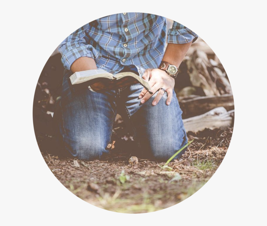 Proverbs 15 Scripture, Transparent Clipart