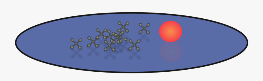 Circle, Transparent Clipart