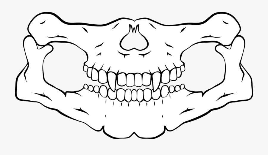 Clipart Skull Bandana - Bandana Skull, Transparent Clipart