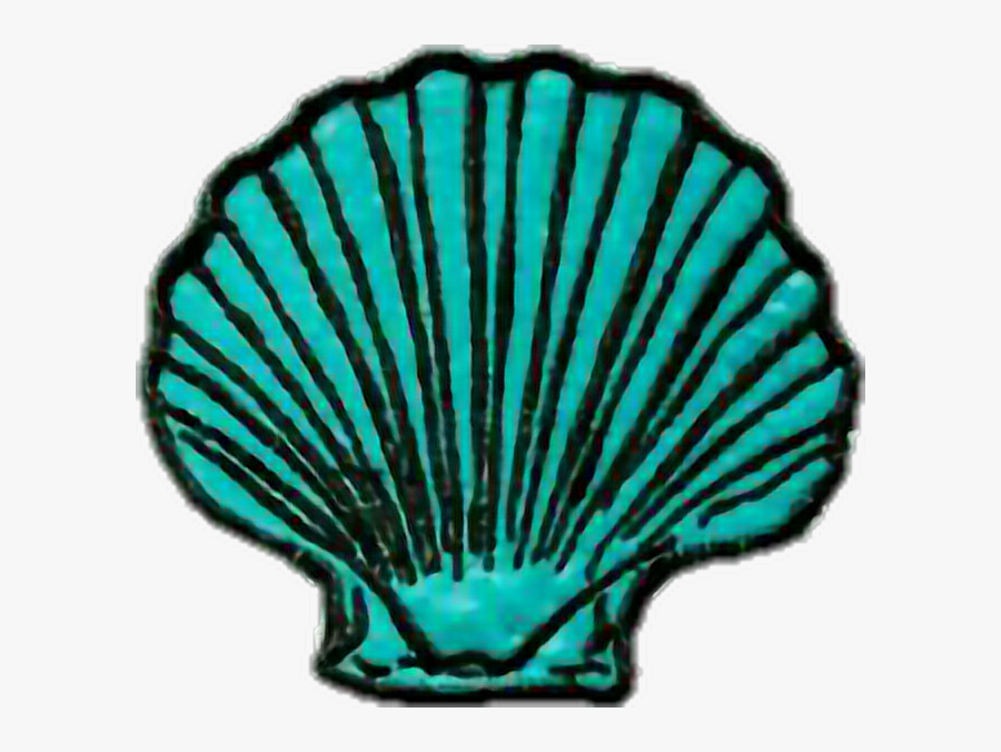 #tumblr #mermaid #marine - Transparent Png Mermaid Shell, Transparent Clipart