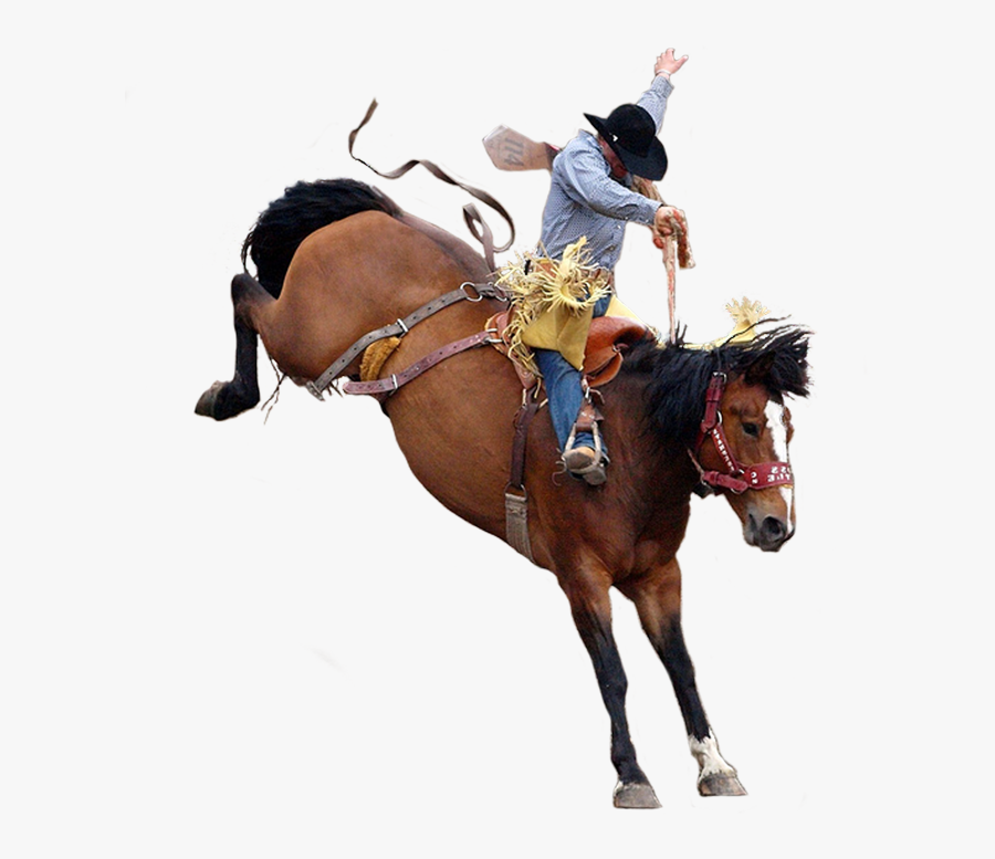 Transparent Bucking Horse Clipart - Cowboy Riding A Bucking Horse Clipart, Transparent Clipart