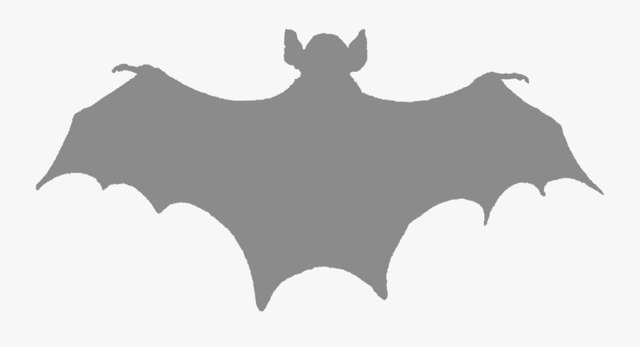 Bat Silhouette No Background, Transparent Clipart