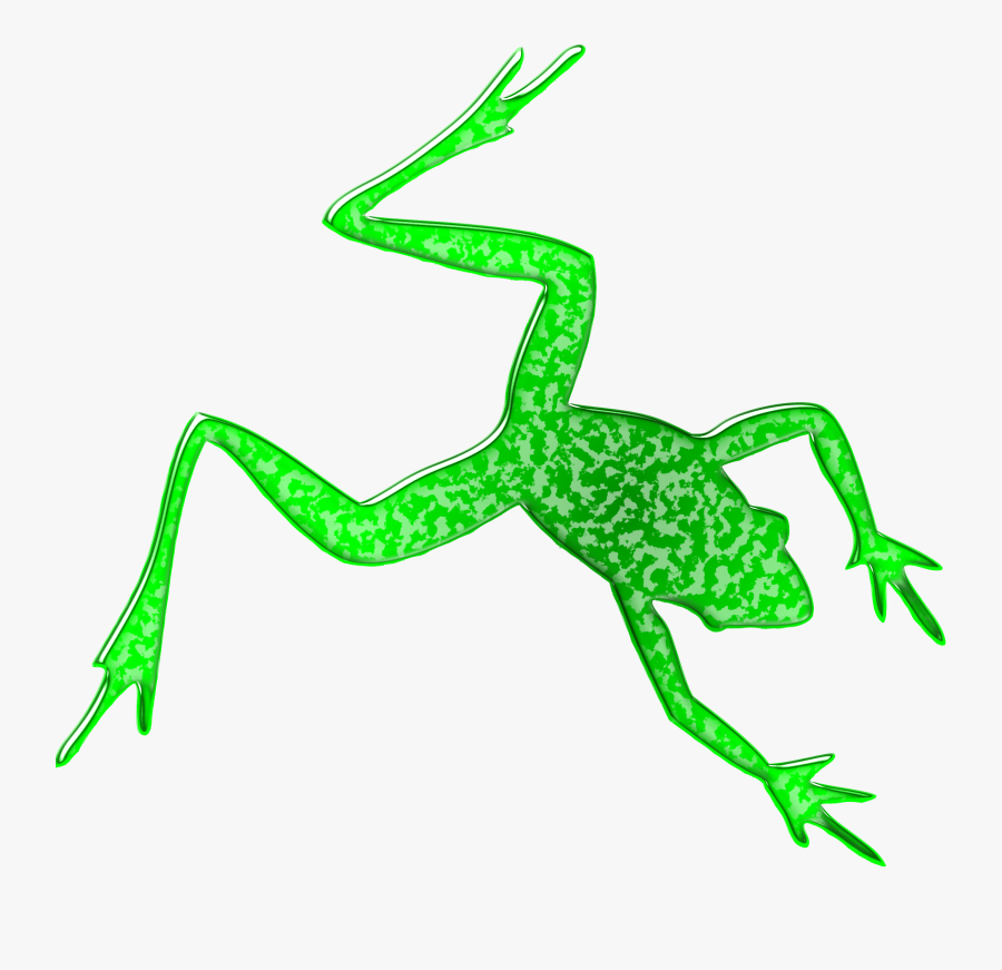 Reptile,grass,leaf - Frog Silhouette, Transparent Clipart