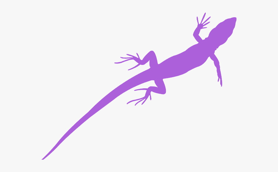 Iguania, Transparent Clipart