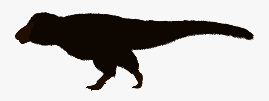 California Condor, Transparent Clipart