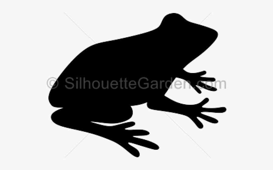 Frog Silhouette - Silhouette Of A Frog, Transparent Clipart