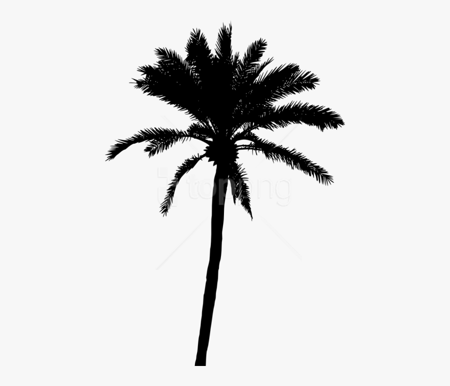 Palm Png Transparent Background - Palm Tree Vector Png, Transparent Clipart