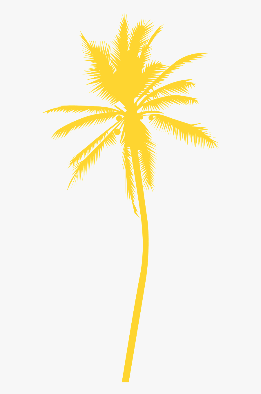 Attalea Speciosa, Transparent Clipart