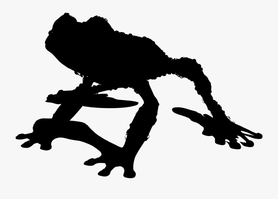 Scalable Vector Graphics, Transparent Clipart