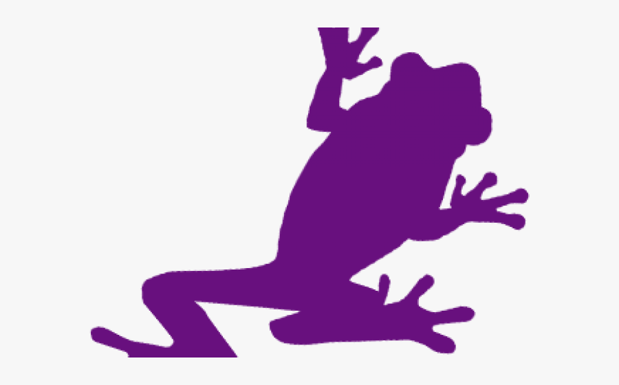 Frog, Transparent Clipart