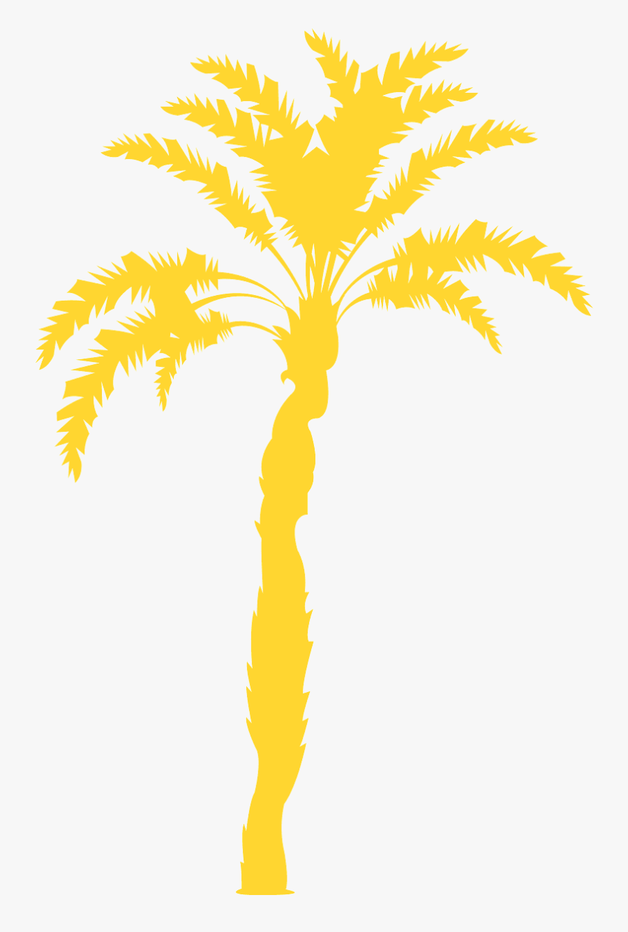 Palm Tree, Transparent Clipart