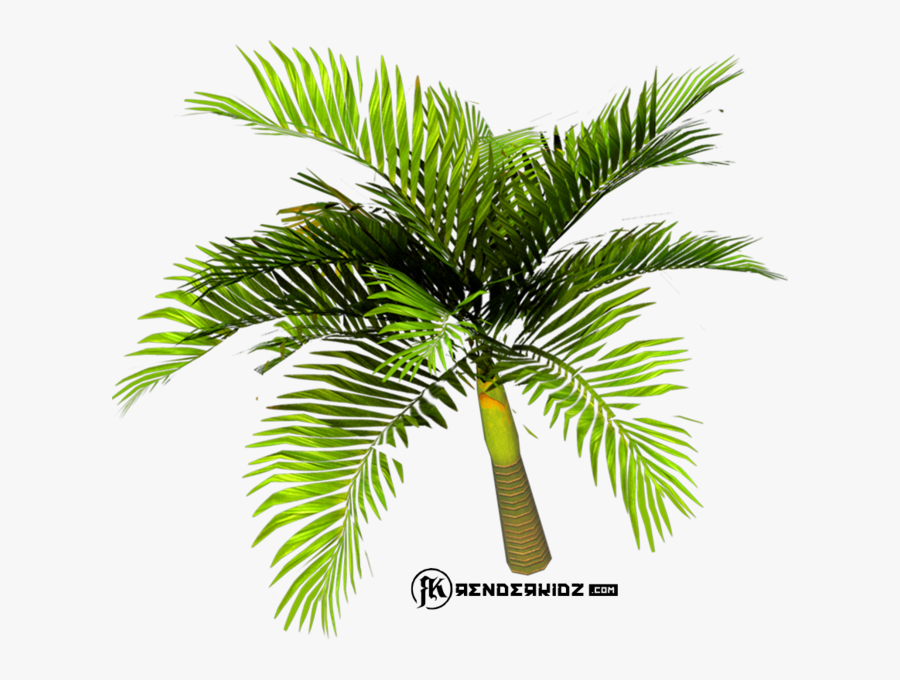 Palm Tree Emoji Png -palm Tree - Palm Trees Psd, Transparent Clipart