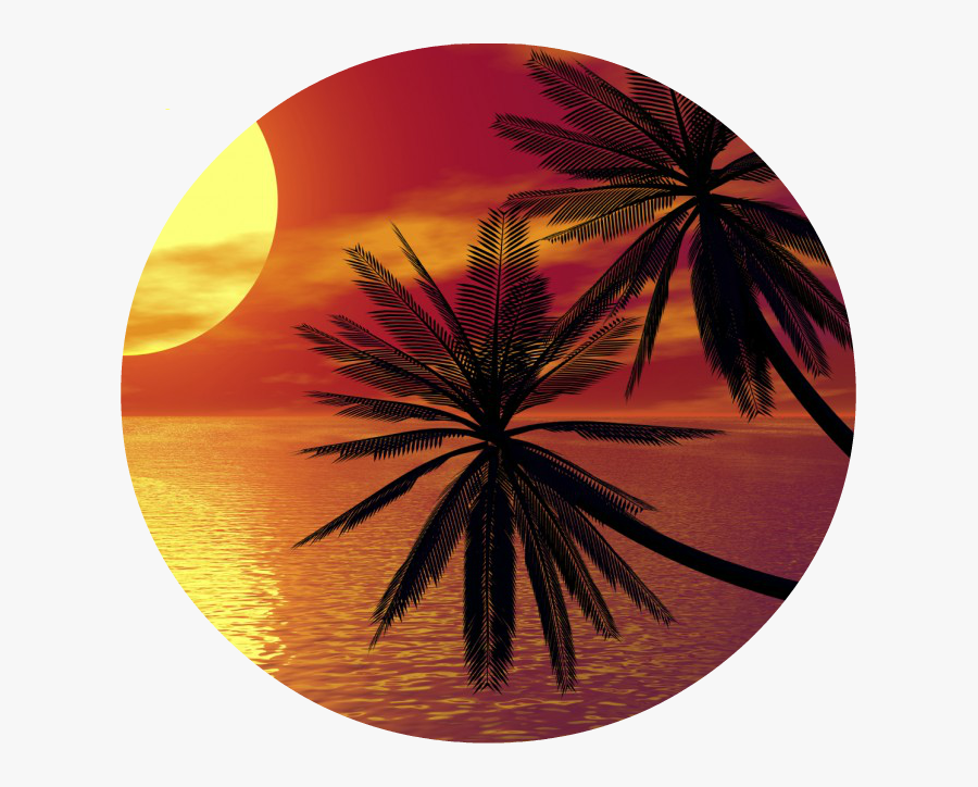 Clip Art Palm Tree In The Sunset - Palm Tree Image Circle, Transparent Clipart