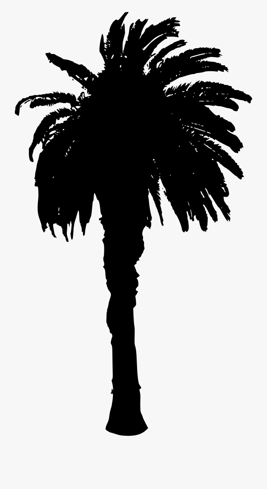 Palm Trees, Transparent Clipart