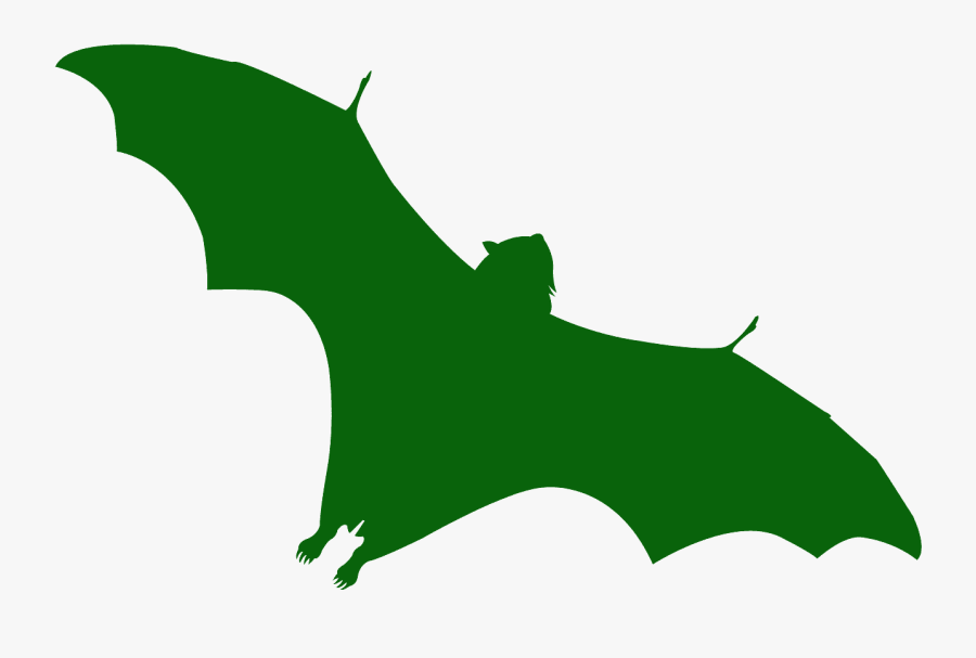 Flying Fox Bat Silhouette, Transparent Clipart