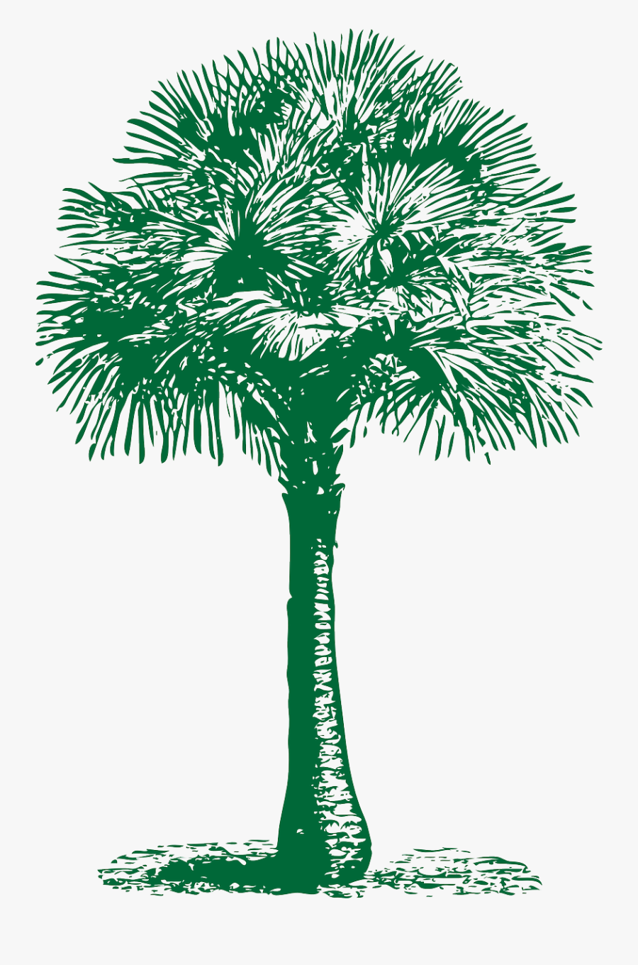 Fan Palm Tree Free Picture - Palmyra Tree Clipart Png, Transparent Clipart