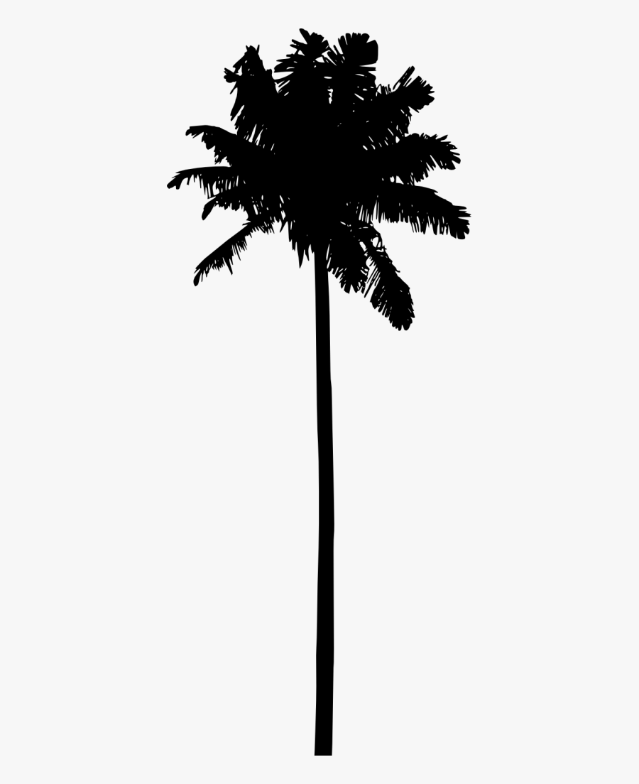 20 Palm Tree Silhouette Vol - Free Palm Tree Silhouette, Transparent Clipart