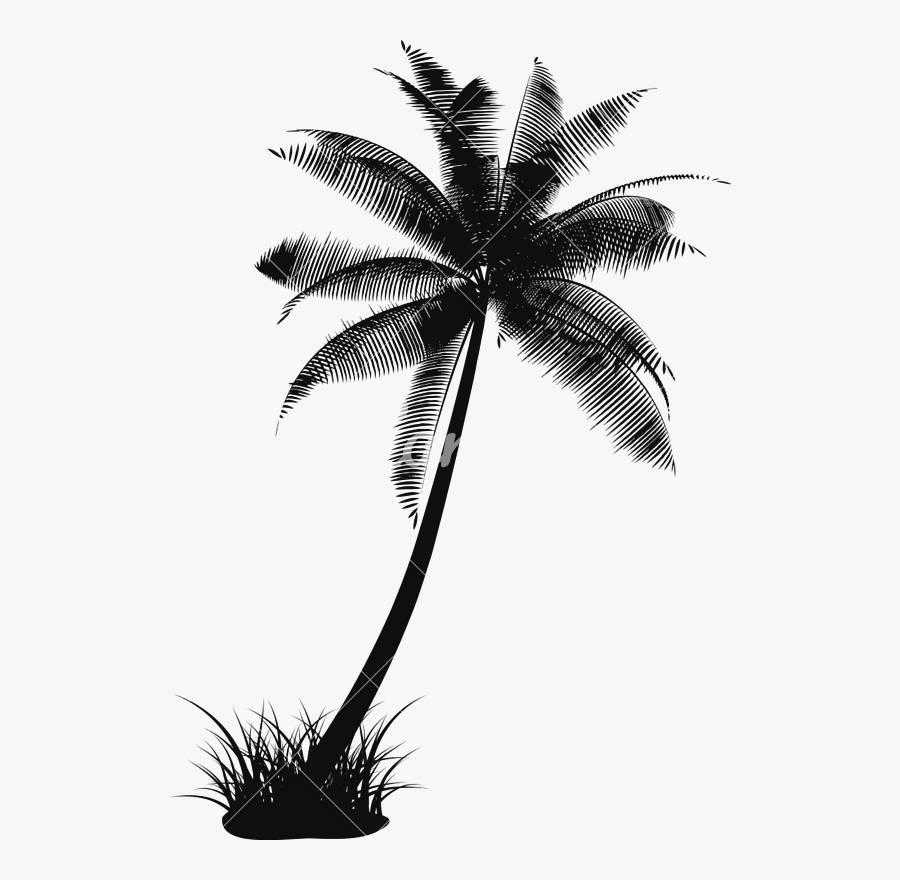 Palm Tree Vector - Coconut Tree Silhouette Vector Png, Transparent Clipart