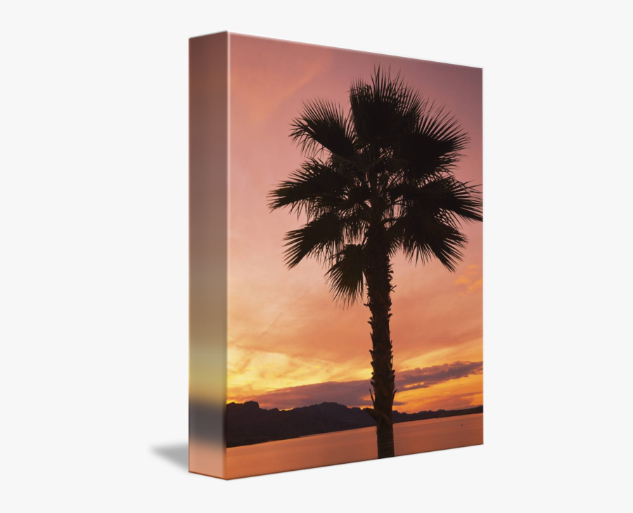 Clip Art Of A By Panoramic - Borassus Flabellifer, Transparent Clipart