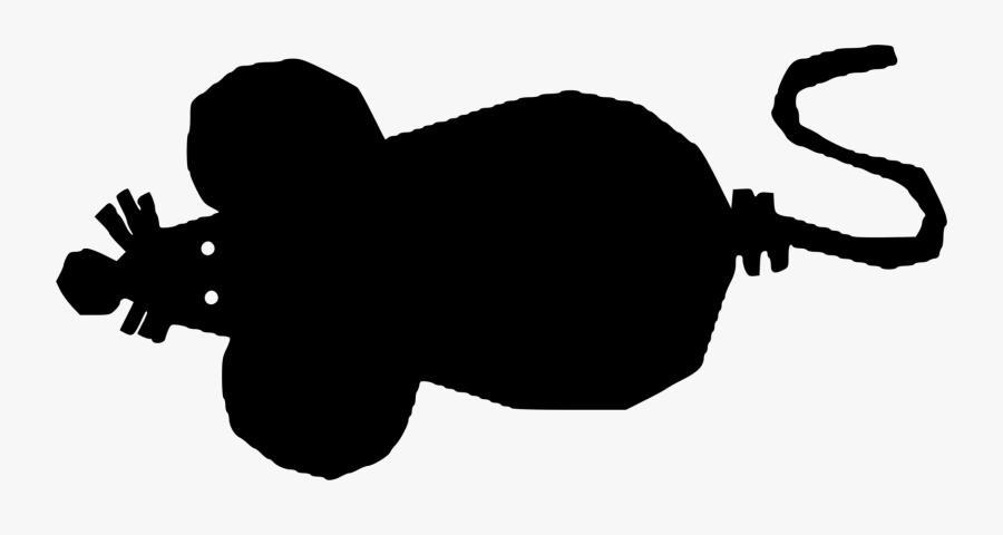 Photography, Transparent Clipart