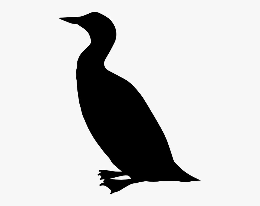 Duck Silhouette Bird - Duck, Transparent Clipart