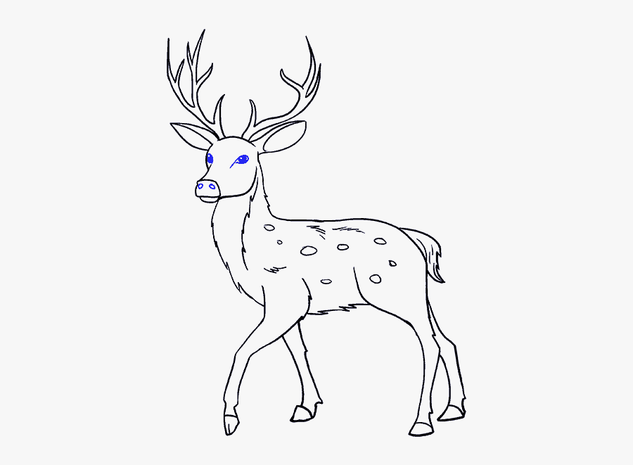 How To Draw Deer - Drawing, Transparent Clipart