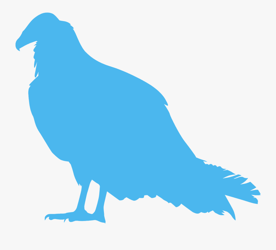 Chicken, Transparent Clipart