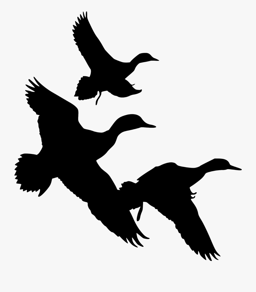 Duck, Flying, Silhouette, Goose, Geese, Bird, Flight, - Ducks Flying Silhouette Png, Transparent Clipart