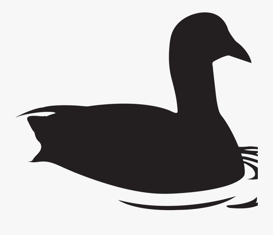 Duck, Transparent Clipart