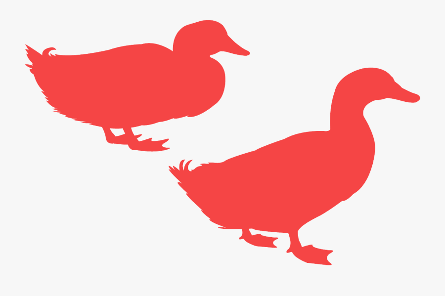 Blue Duck Silhouette, Transparent Clipart